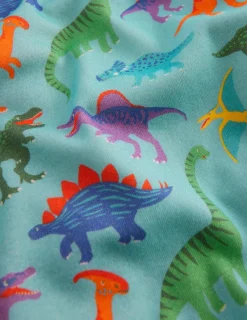 Nachtwäsche & Schlafanzüge | Boden Kuschelige Schlafanzüge im Doppelpack-Blau Dinos und Grün Streifen BlauDinosundGrünStreifen